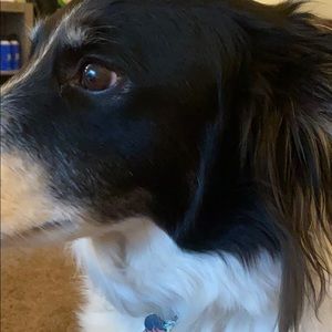 Meet your Posher, Arianna